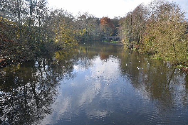 17 11 11_3412.JPG - BLANDFORD FORUM - 17.11.11
